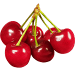 آلبالو اشنویه