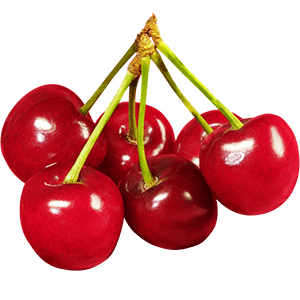 آلبالو اشنویه