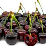 گیلاس اشنویه